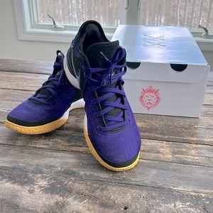 Lebron Nxxt Gen court shoes. Men’s 10.